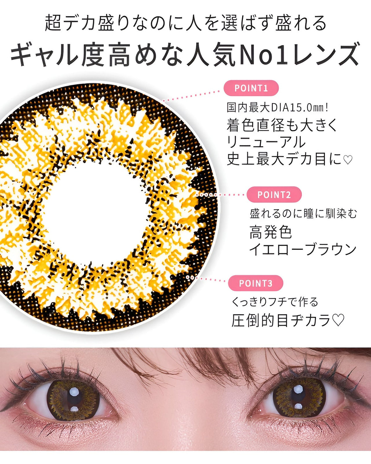 ワンデーキングダム17 ブラウン [1day Kingdom17] DIA15.0mm【10枚入り】 ブラウン 5枚目