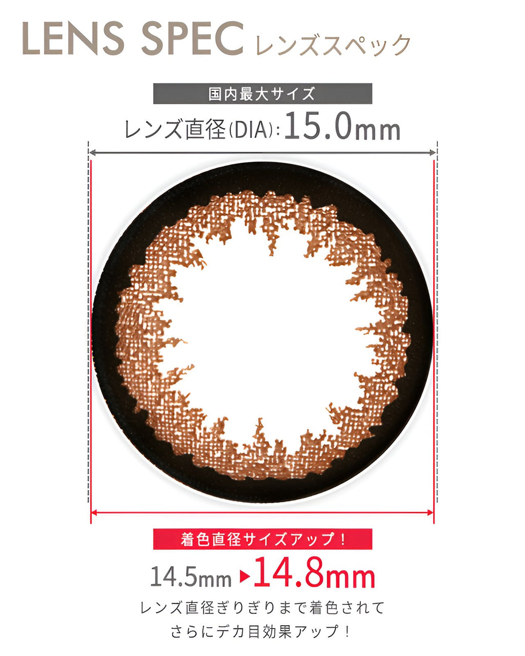 ワンデークイーン[1day Queen] DIA15.0mm【10枚入り】 ブラウン 7枚目