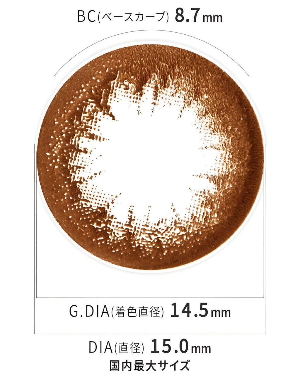 ワンデークイーン[1day Queen] DIA15.0mm【10枚入り】 ダークブラウン 4枚目
