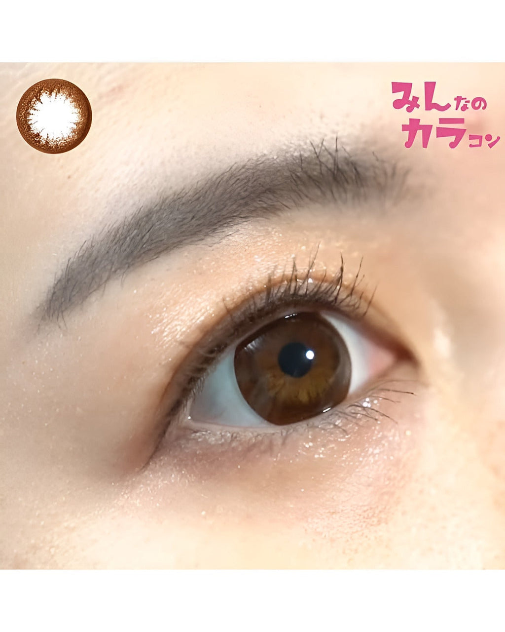 ワンデークイーン[1day Queen] DIA15.0mm【10枚入り】 ダークブラウン 5枚目
