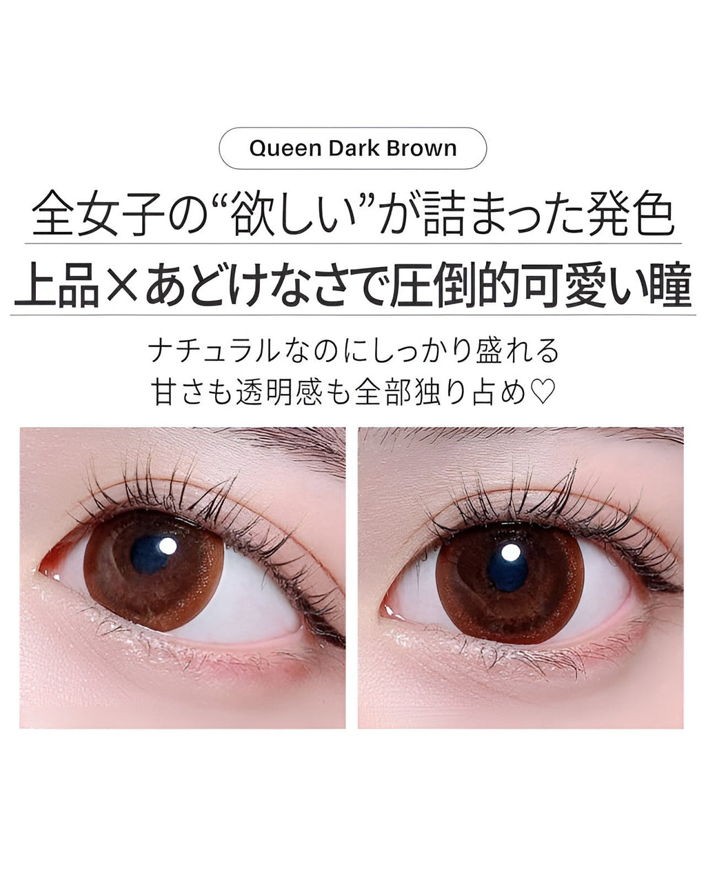 ワンデークイーン[1day Queen] DIA15.0mm【10枚入り】 ダークブラウン 6枚目