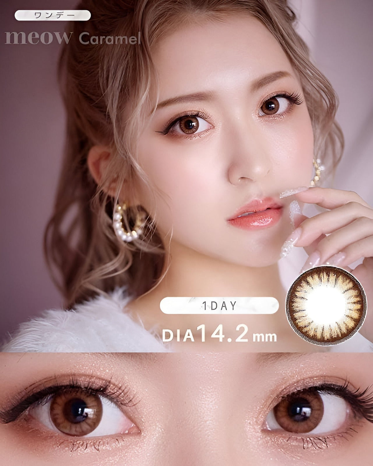 meow 1day [ミャオ ワンデー] 【DIA 14.2～5mm】【24枚(1箱12枚ずつ)】】 キャラメル 1枚目
