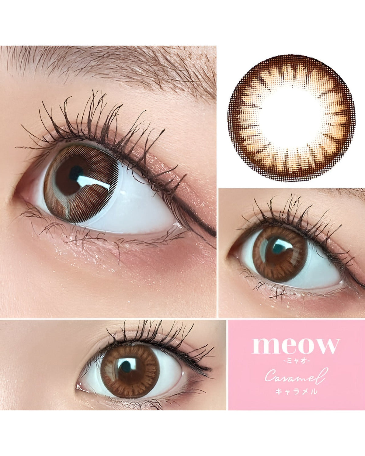 meow 1day [ミャオ ワンデー] 【DIA 14.2～5mm】【24枚(1箱12枚ずつ)】】 キャラメル 2枚目