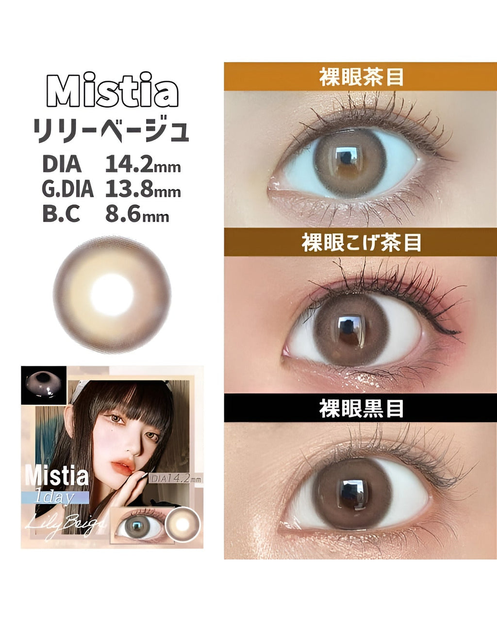 ワンデーミスティア [1day Mistia] DIA14.2mm【24枚(1箱12枚ずつ)】 リリーベージュ 4枚目