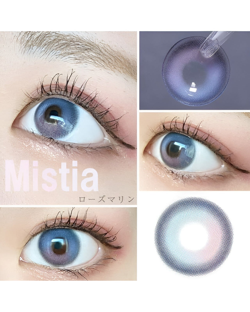 ワンデーミスティア [1day Mistia] DIA14.2mm【24枚(1箱12枚ずつ)】 ローズマリン 2枚目