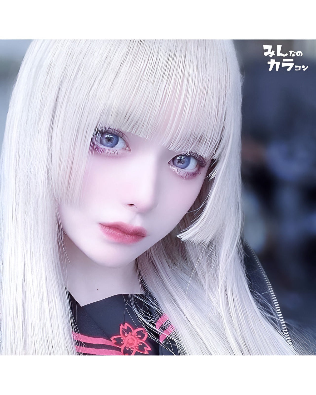 ワンデーミスティア [1day Mistia] DIA14.2mm【24枚(1箱12枚ずつ)】 ローズマリン 5枚目