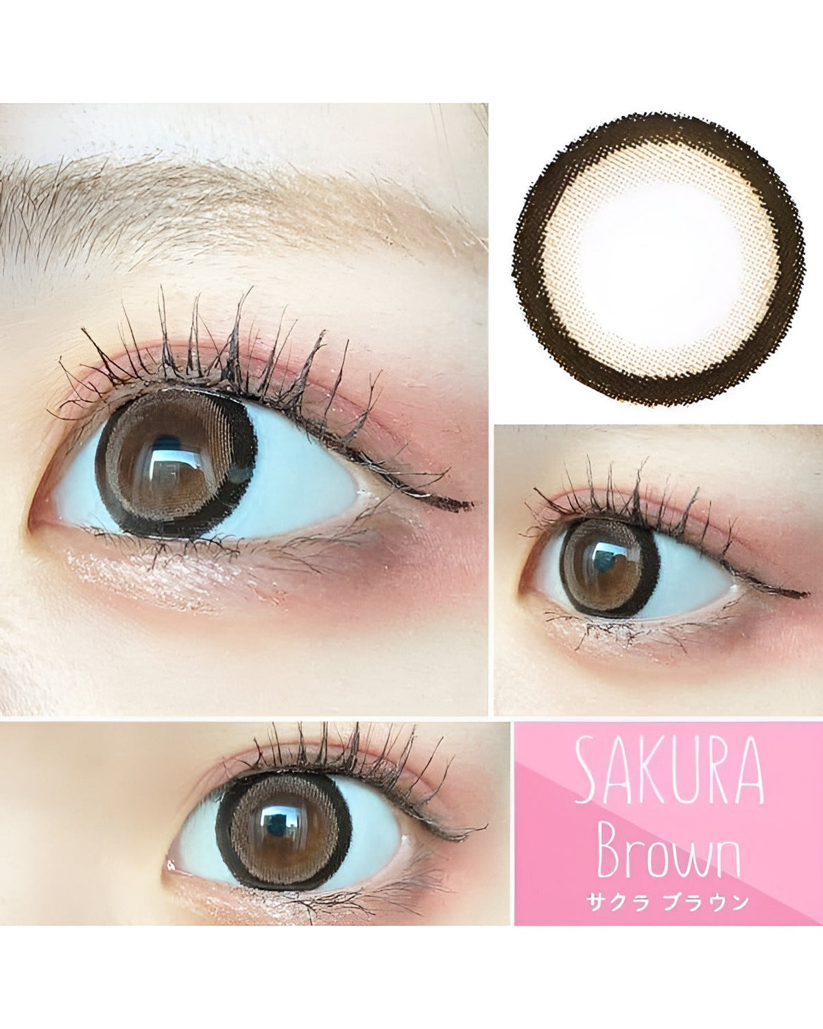ワンデーサクラ [1day SAKURA] DIA15.0mm【24枚(1箱12枚ずつ)】 ブラウン 2枚目