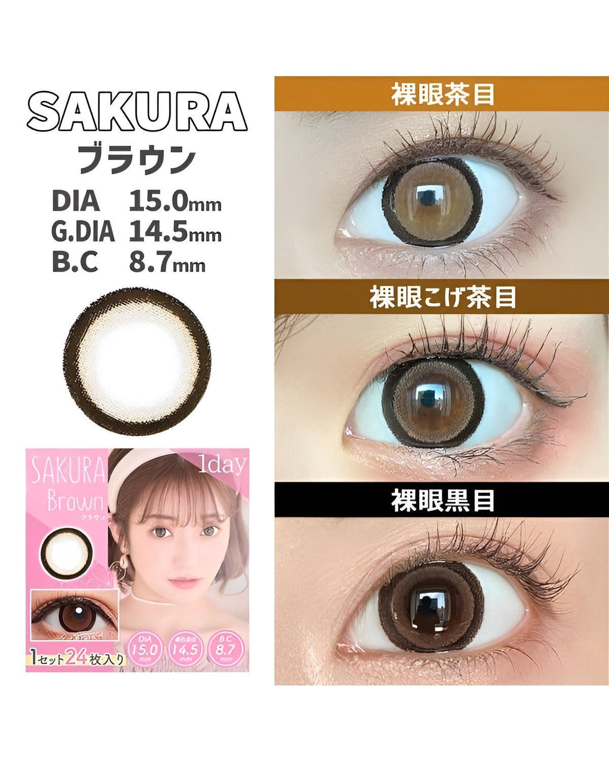 ワンデーサクラ [1day SAKURA] DIA15.0mm【24枚(1箱12枚ずつ)】 ブラウン 4枚目