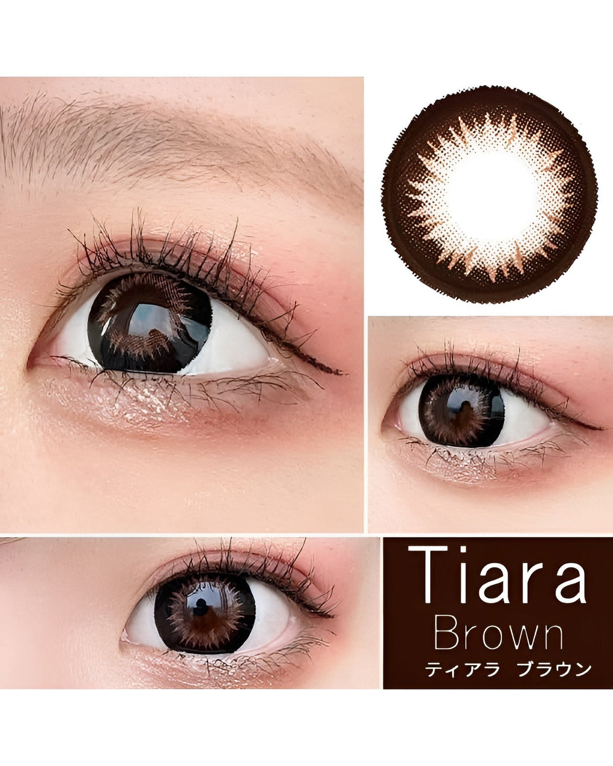 ワンデーティアラ [1day Tiara]DIA15.0mm【24枚(1箱12枚ずつ)】 ブラウン 2枚目