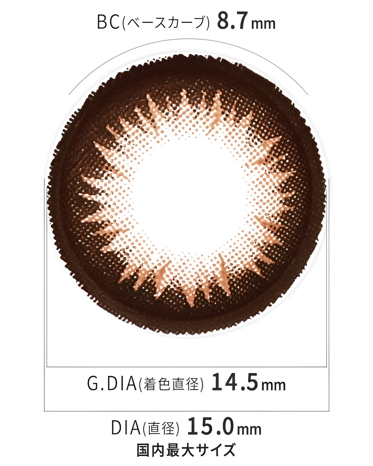 ワンデーティアラ[1day Tiara]DIA15.0mm【10枚入り】 ブラウン 4枚目