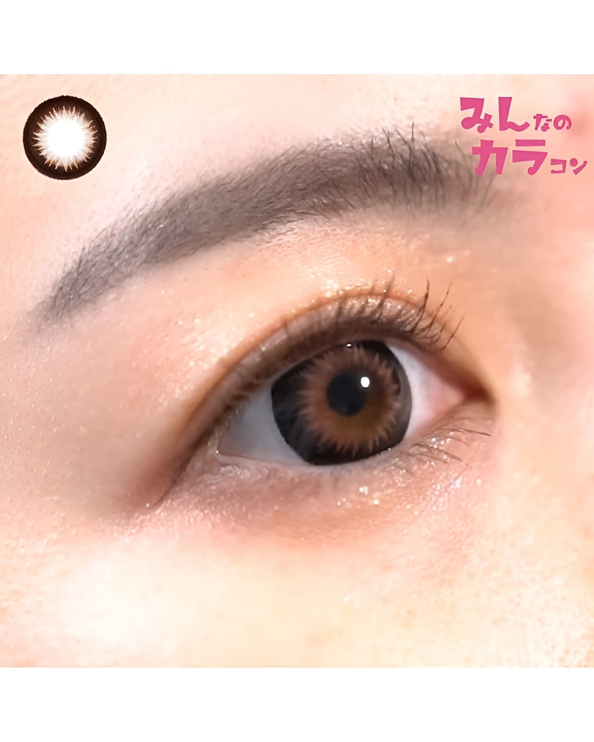 ワンデーティアラ[1day Tiara]DIA15.0mm【10枚入り】 ブラウン 5枚目