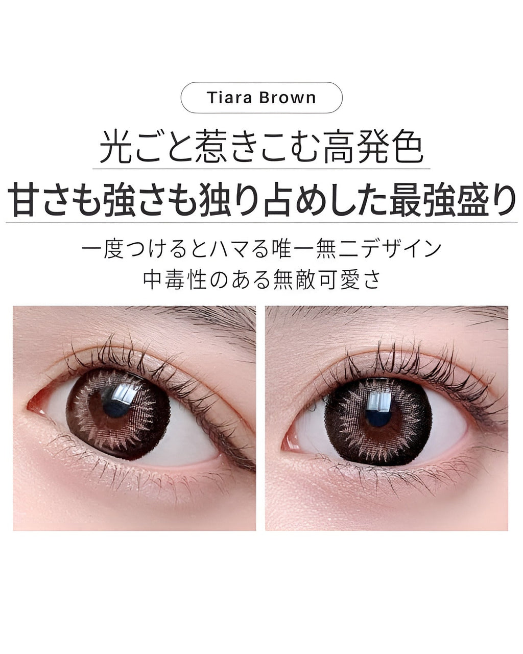 ワンデーティアラ[1day Tiara]DIA15.0mm【10枚入り】 ブラウン 6枚目