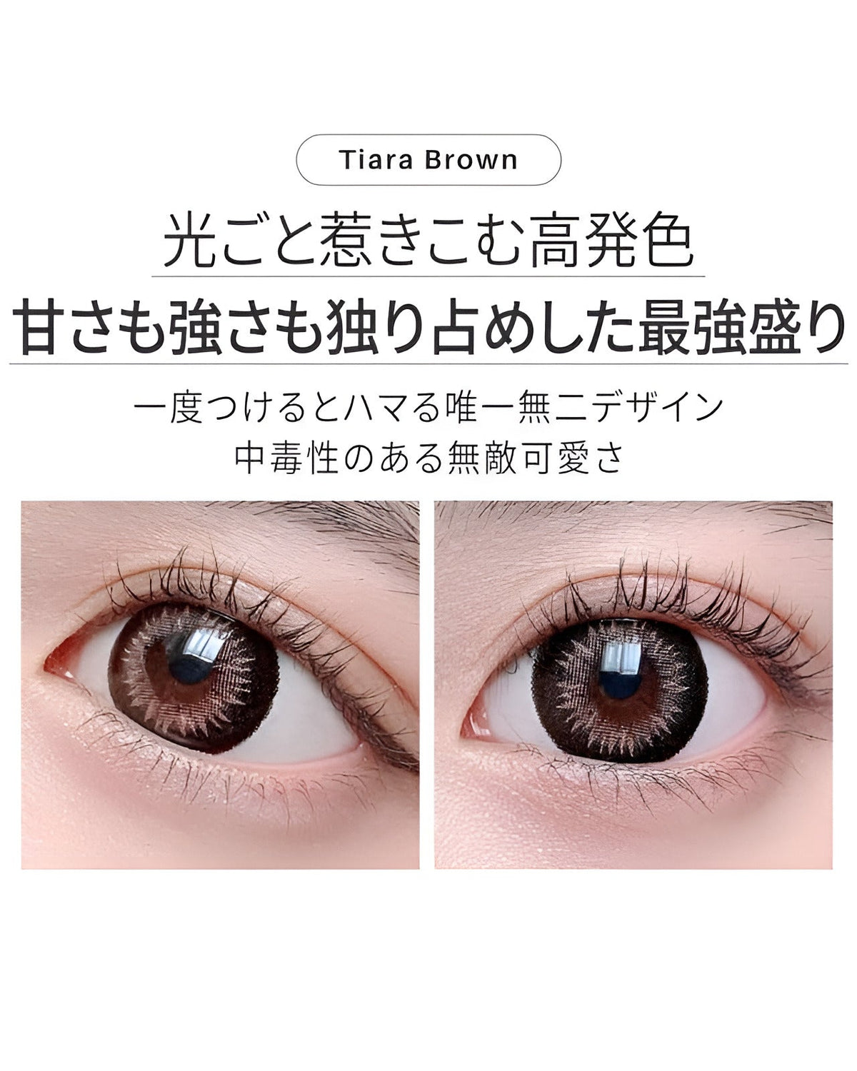 ワンデーティアラ[1day Tiara]DIA15.0mm【10枚入り】 ブラウン 6枚目