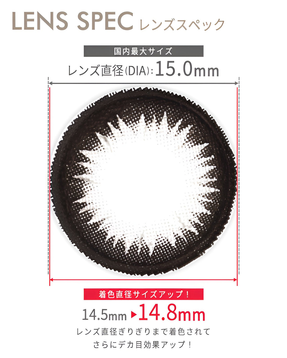 ワンデーティアラ[1day Tiara]DIA15.0mm【10枚入り】 グレー 6枚目