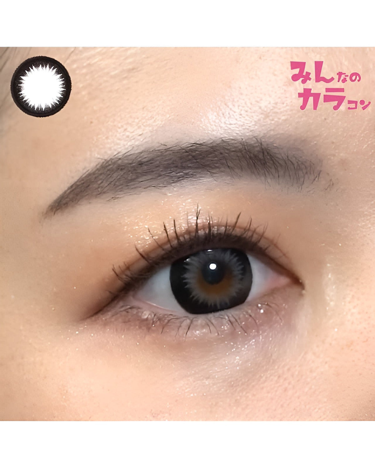 ワンデーティアラ[1day Tiara]DIA15.0mm【10枚入り】 グレー 7枚目