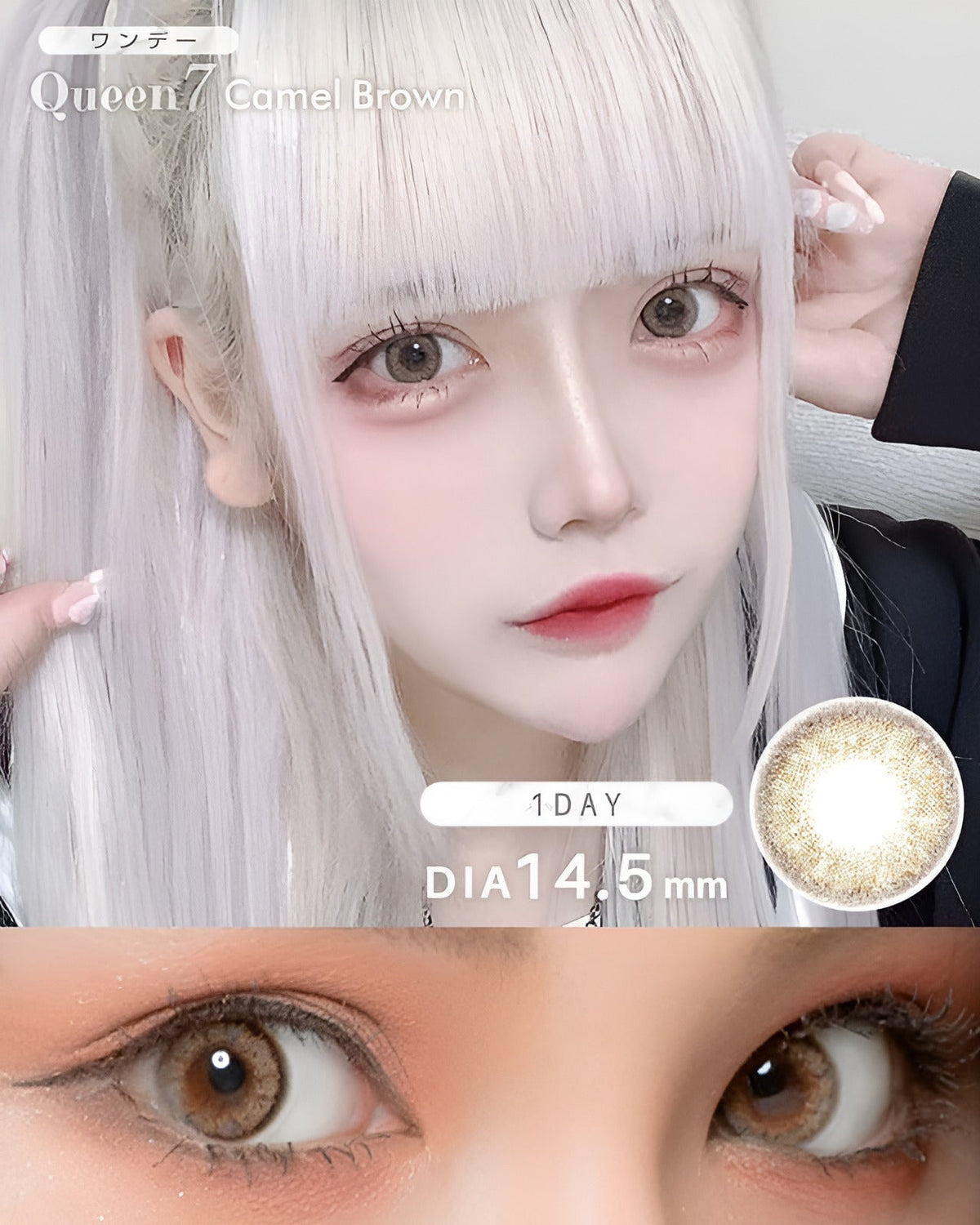 ワンデークイーン7 [1day Queen7] DIA14.5mm【24枚(1箱12枚ずつ)】 キャメルブラウン 1枚目