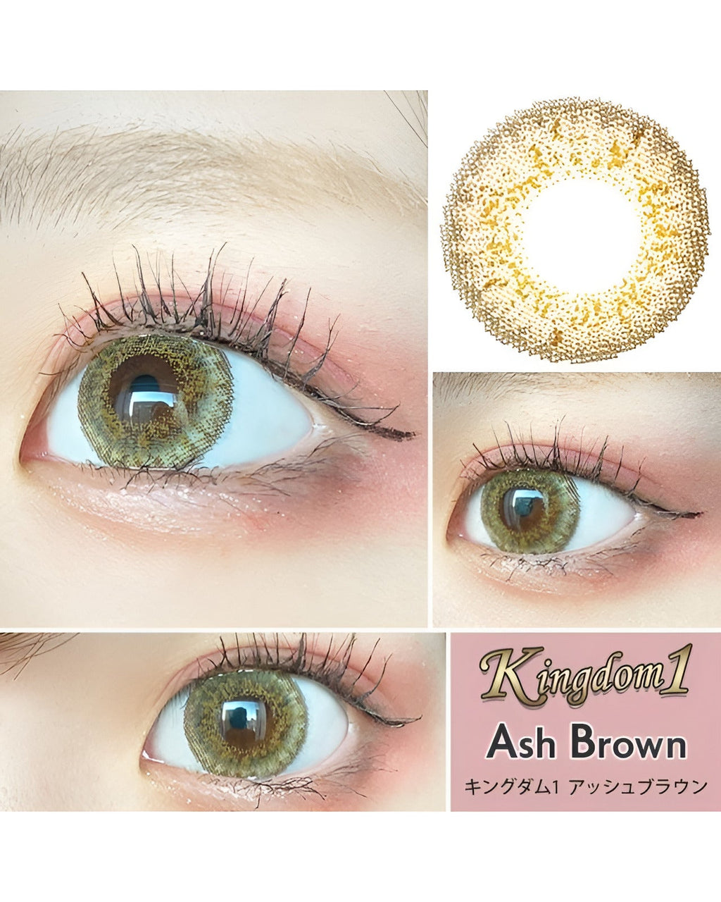 キングダム1 [Kingdom 1] DIA15.0mm 最長1年【2枚(1箱1枚ずつ)】 アッシュブラウン 2枚目