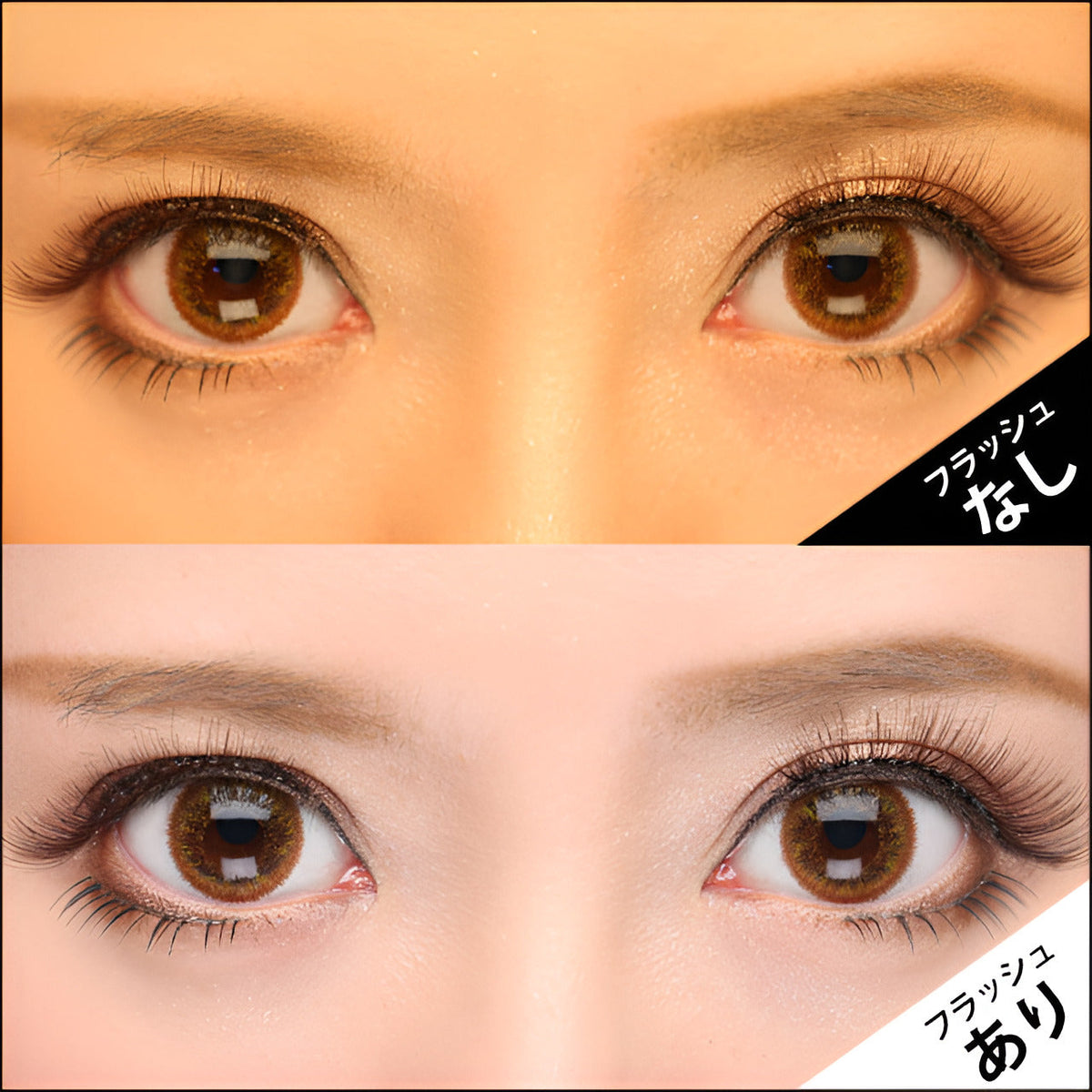 キングダム1 [Kingdom 1] DIA15.0mm 最長1年【2枚(1箱1枚ずつ)】 ブラウンシュガー 5枚目