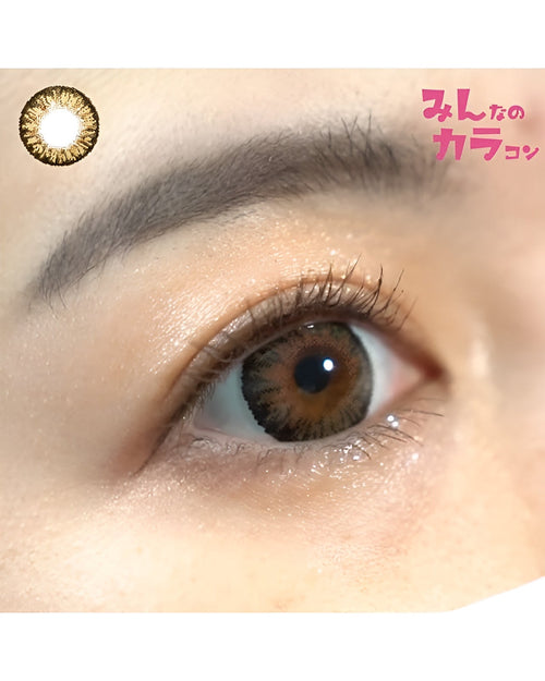 キングダム15 [Kingdom 15] DIA15.0mm 最長1年【2枚(1箱1枚ずつ)】 ブラウン 2枚目