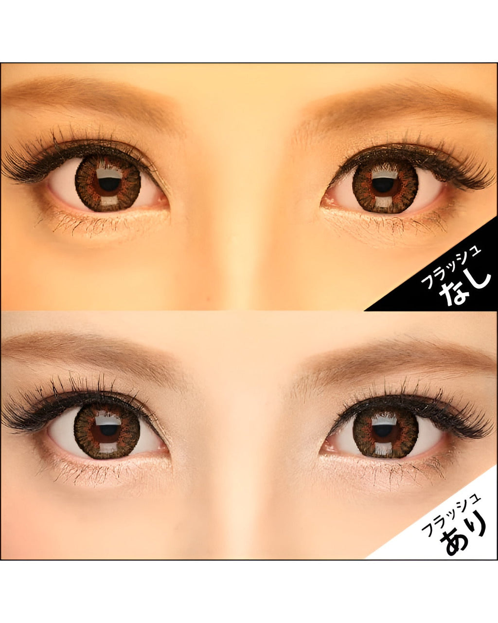 キングダム15 [Kingdom 15] DIA15.0mm 最長1年【2枚(1箱1枚ずつ)】 ブラウン 8枚目