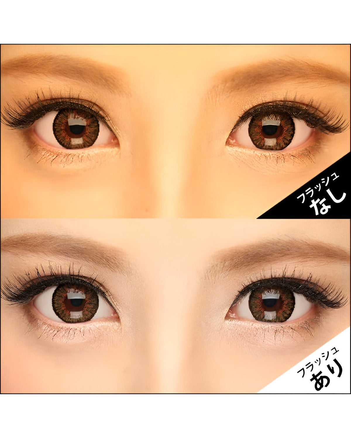 キングダム15 [Kingdom 15] DIA15.0mm 最長1年【2枚(1箱1枚ずつ)】 ブラウン 8枚目