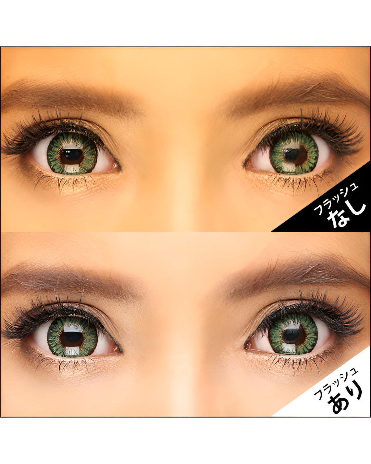 キングダム15 [Kingdom 15] DIA15.0mm 最長1年【2枚(1箱1枚ずつ)】 グリーン 6枚目