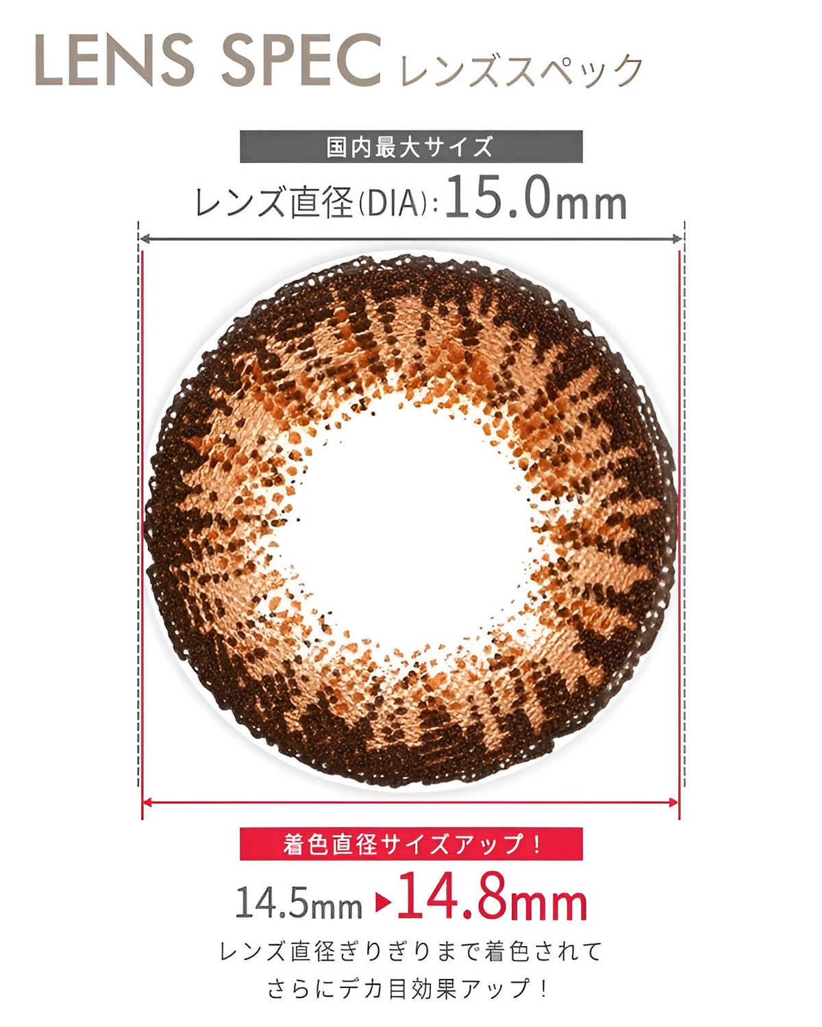 キングダム15 [Kingdom 15] DIA15.0mm 最長1年【2枚(1箱1枚ずつ)】 ヘーゼル 2枚目
