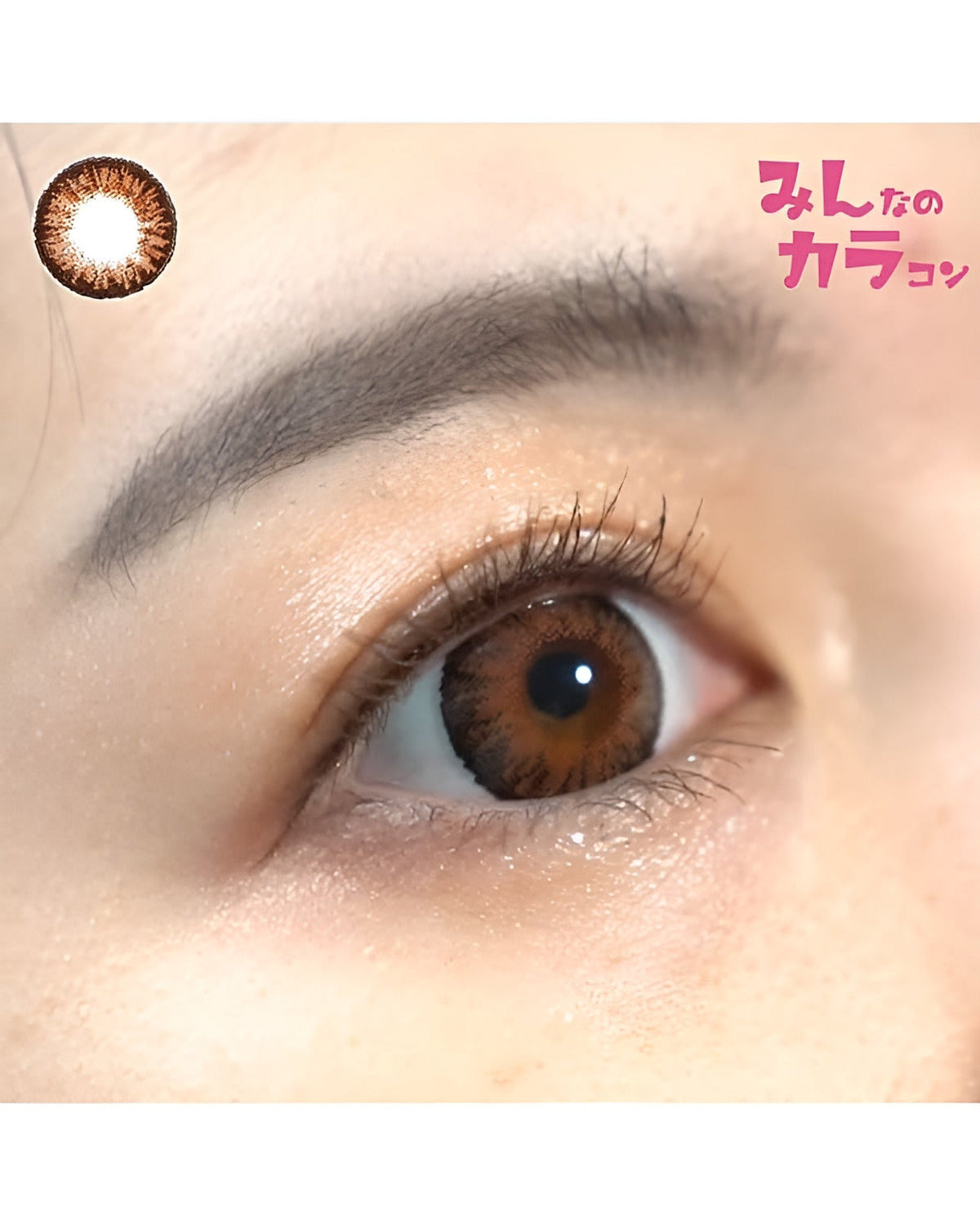 キングダム15 [Kingdom 15] DIA15.0mm 最長1年【2枚(1箱1枚ずつ)】 ヘーゼル 3枚目