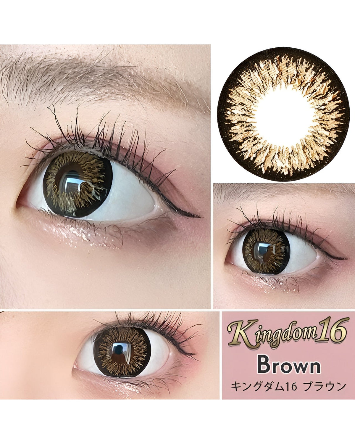 キングダム16 [Kingdom 16] DIA15.0mm 最長1年【2枚(1箱1枚ずつ)】 ブラウン 2枚目