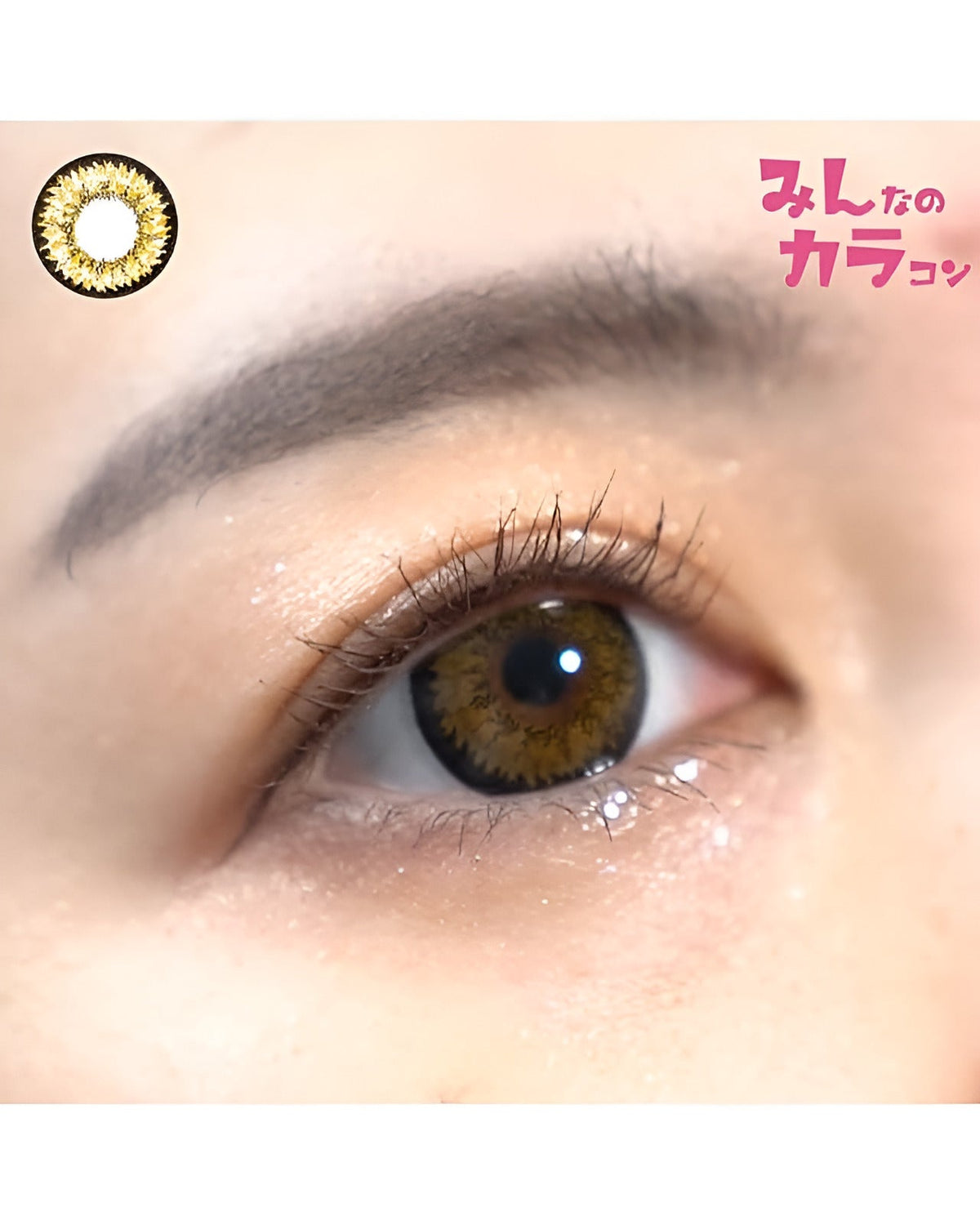 キングダム17 [Kingdom 17] DIA15.0mm 最長1年【2枚(1箱1枚ずつ)】 ブラウン 5枚目