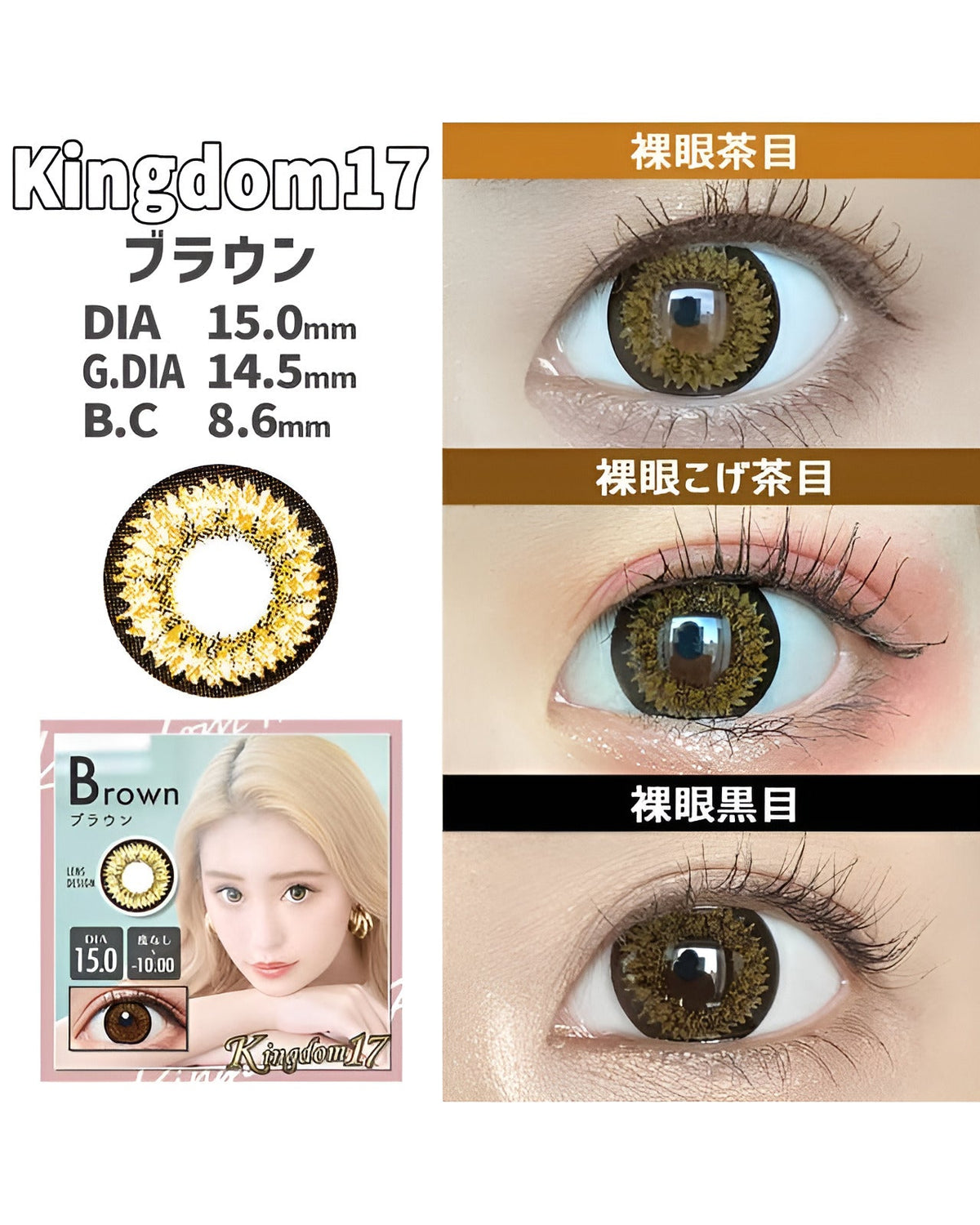 キングダム17 [Kingdom 17] DIA15.0mm 最長1年【2枚(1箱1枚ずつ)】 ブラウン 7枚目