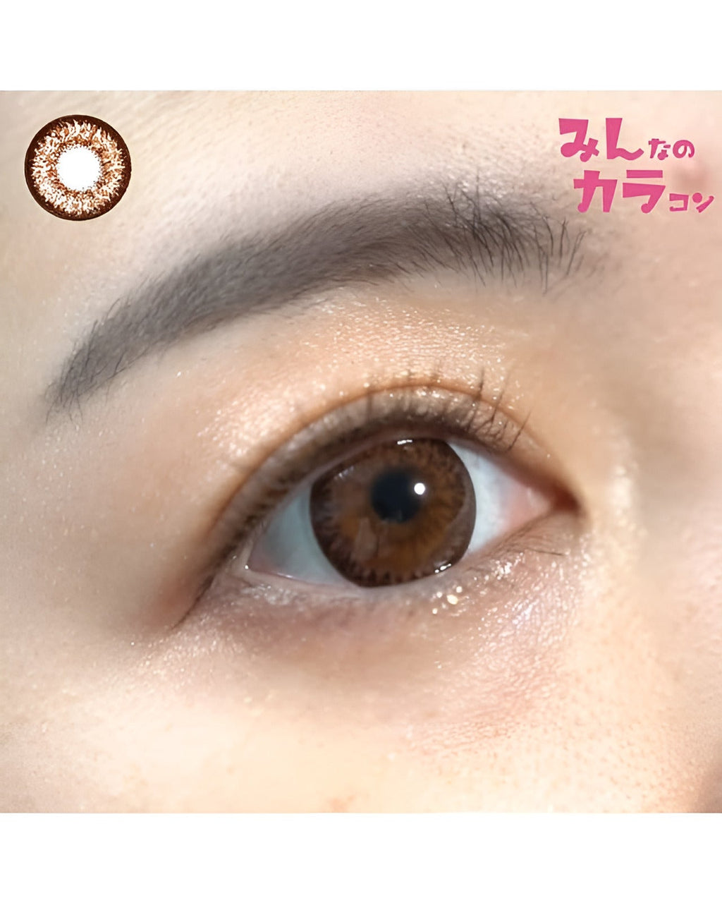 キングダム17 [Kingdom 17] DIA15.0mm 最長1年【2枚(1箱1枚ずつ)】 ヘーゼル 2枚目