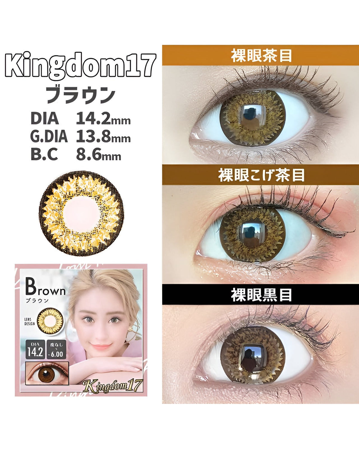 キングダム17 [Kingdom 17] DIA14.2mm 最長1年【2枚(1箱1枚ずつ)】 ブラウン 4枚目