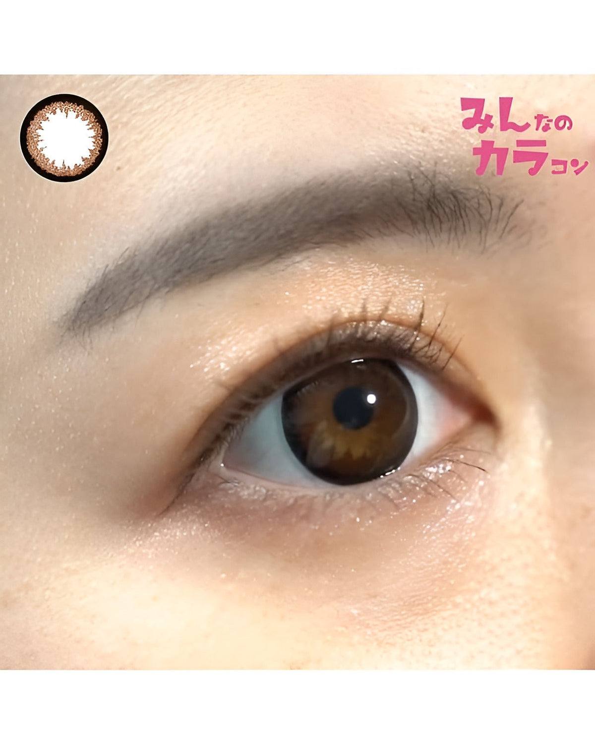 クイーン [Queen] DIA15.0mm 最長1年【2枚(1箱1枚ずつ)】 ブラウン 4枚目