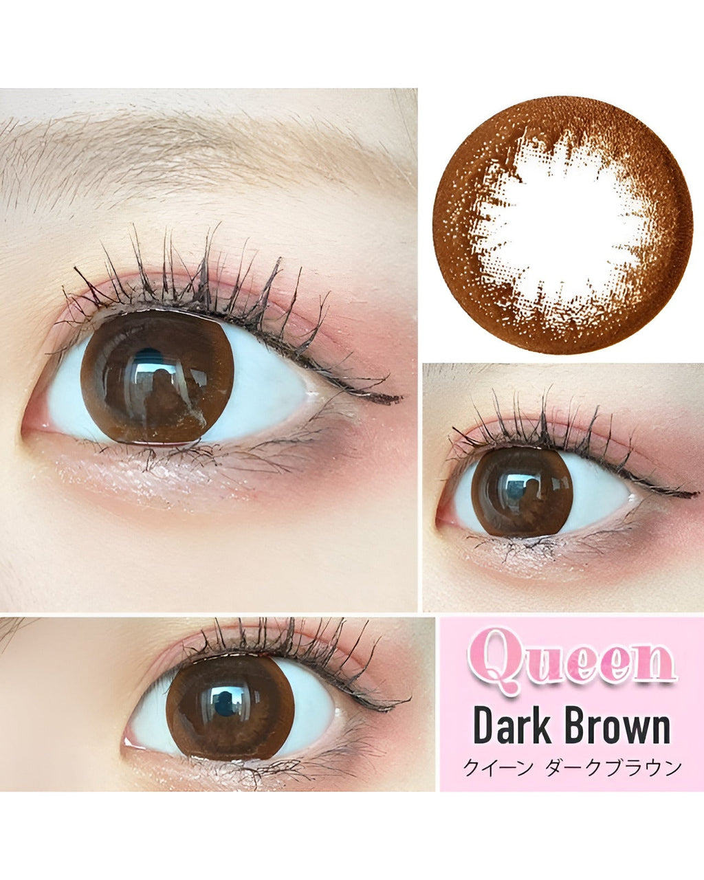 クイーン [Queen] DIA15.0mm 最長1年【2枚(1箱1枚ずつ)】 ダークブラウン 5枚目