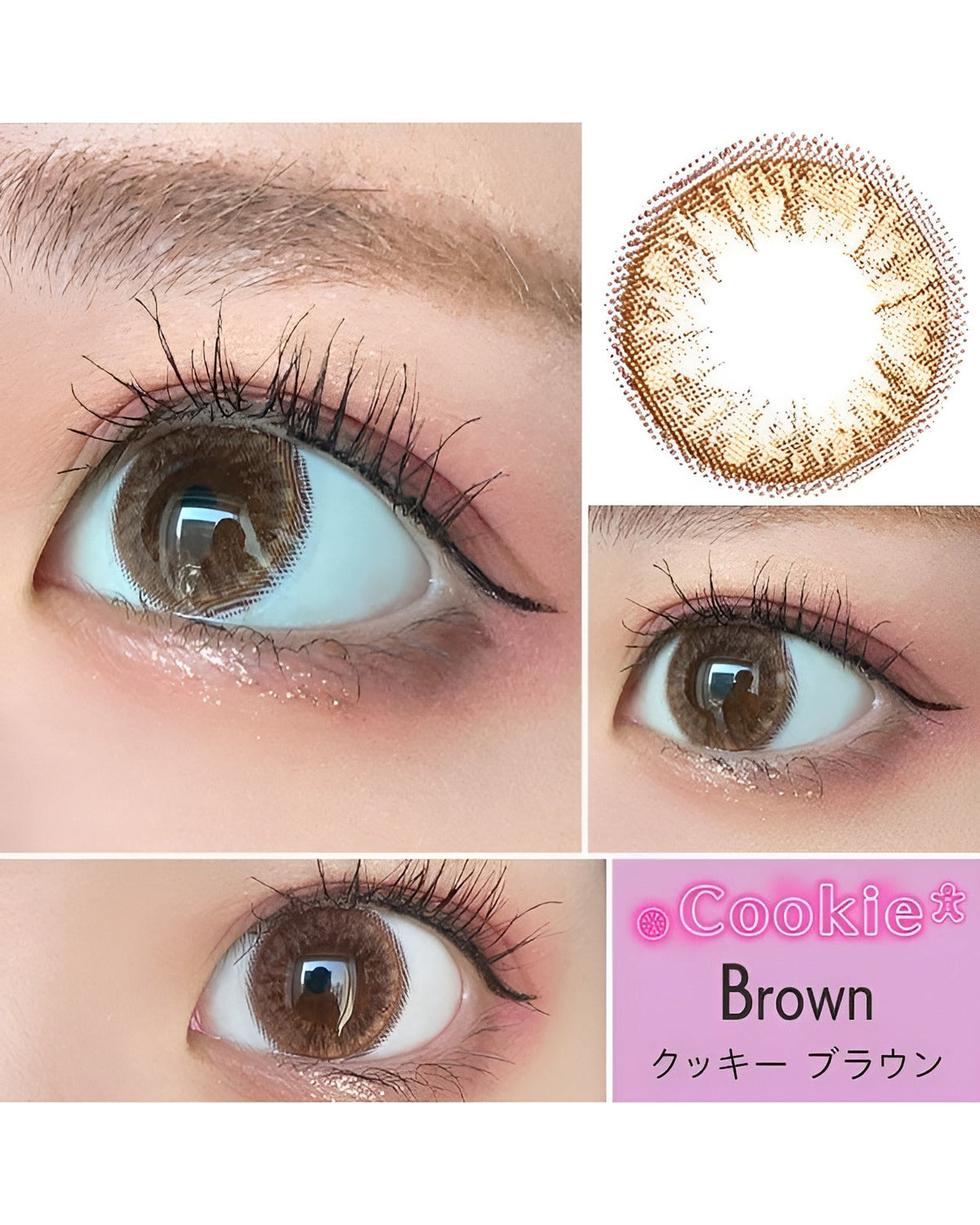 クッキー [Cookie] DIA15.0mm 最長1年【2枚(1箱1枚ずつ)】 ブラウン 2枚目