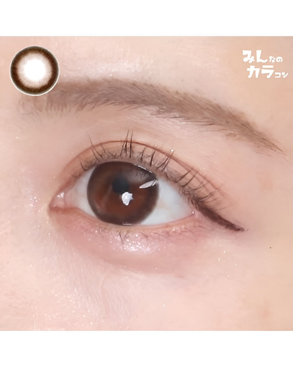 メイリ [Meiri]DIA15.0mm 最長1年【2枚(1箱1枚ずつ)】 ジェラートブラウン 4枚目