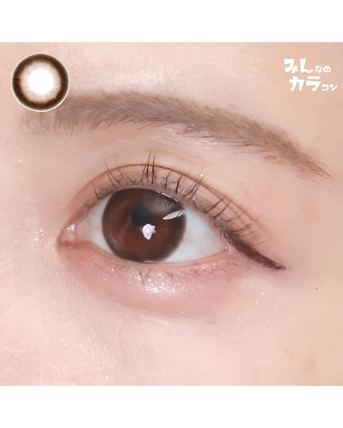メイリ [Meiri]DIA15.0mm 最長1年【2枚(1箱1枚ずつ)】 ジェラートブラウン 4枚目