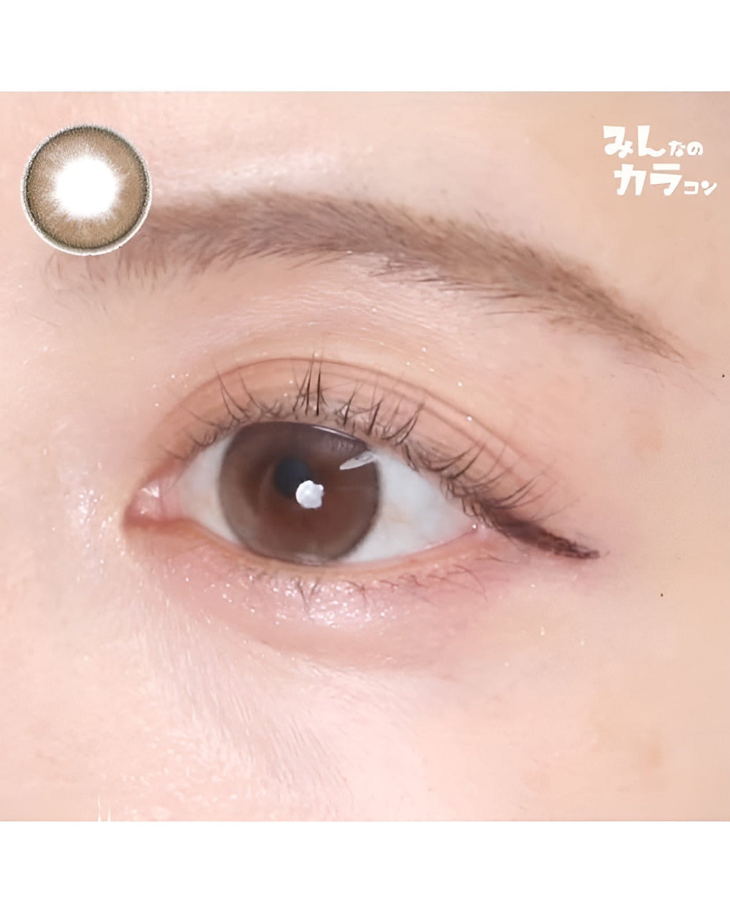 メイリ [Meiri]DIA15.0mm 最長1年【2枚(1箱1枚ずつ)】 ララフルール 4枚目