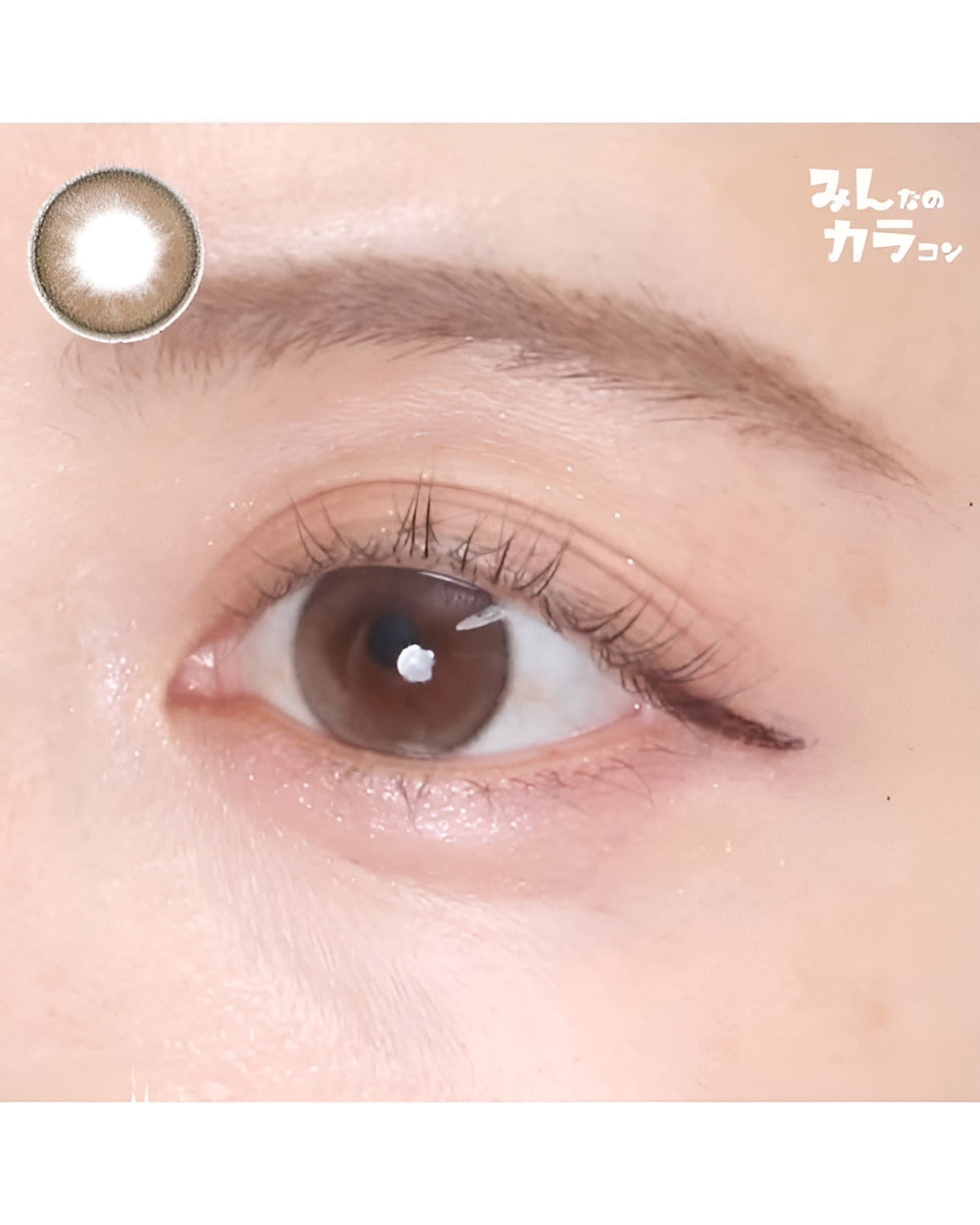 メイリ [Meiri]DIA15.0mm 最長1年【2枚(1箱1枚ずつ)】 ララフルール 4枚目