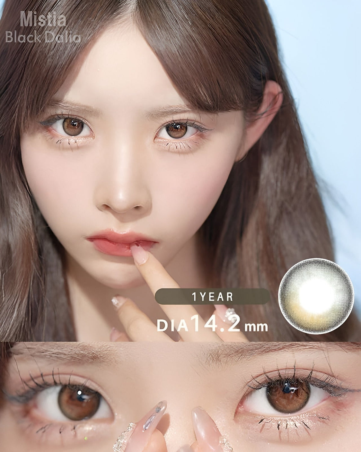 ミスティア [Mistia] DIA14.2mm 最長1年【2枚(1箱1枚ずつ)】 ブラックダリア 1枚目