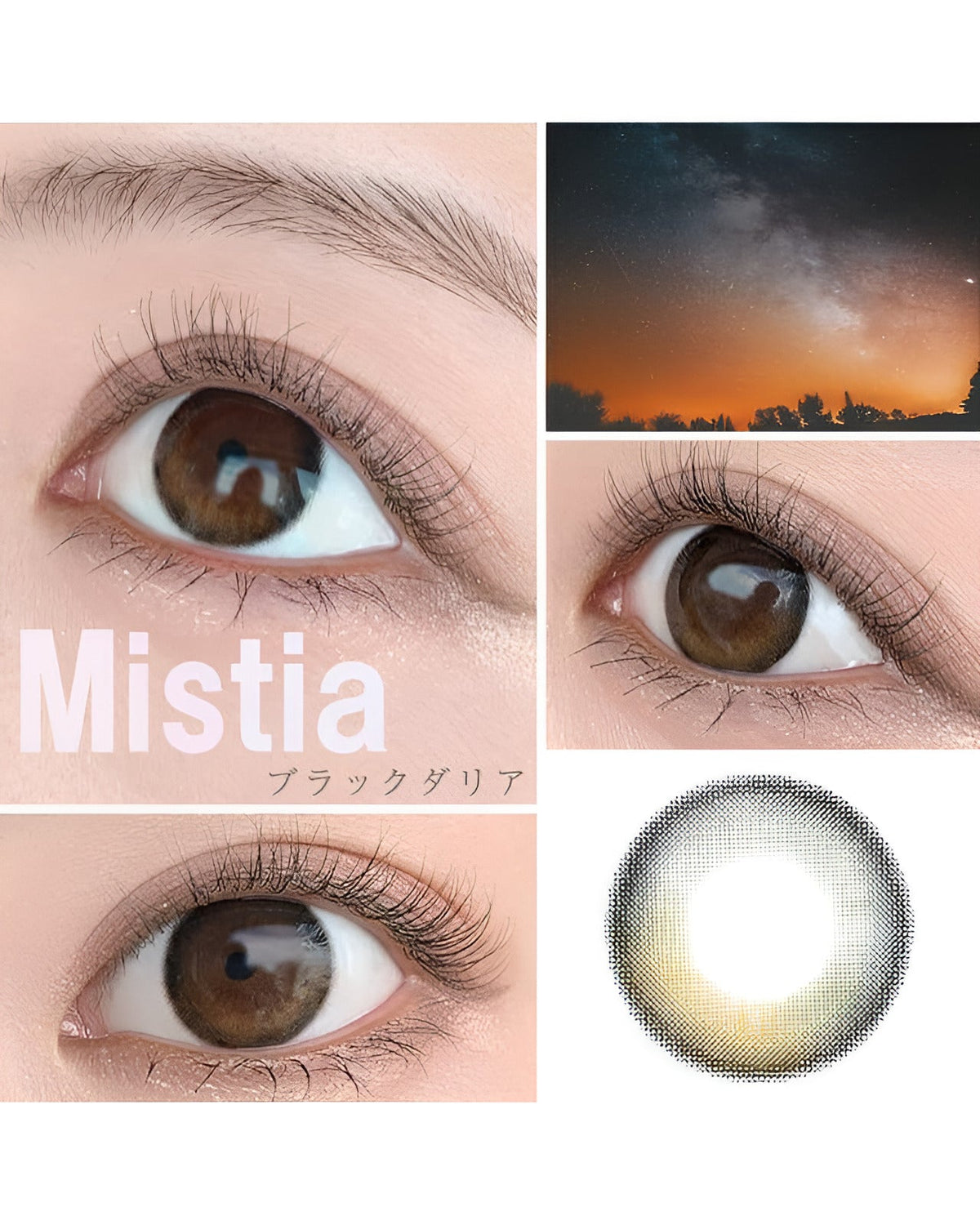 ミスティア [Mistia] DIA14.2mm 最長1年【2枚(1箱1枚ずつ)】 ブラックダリア 2枚目