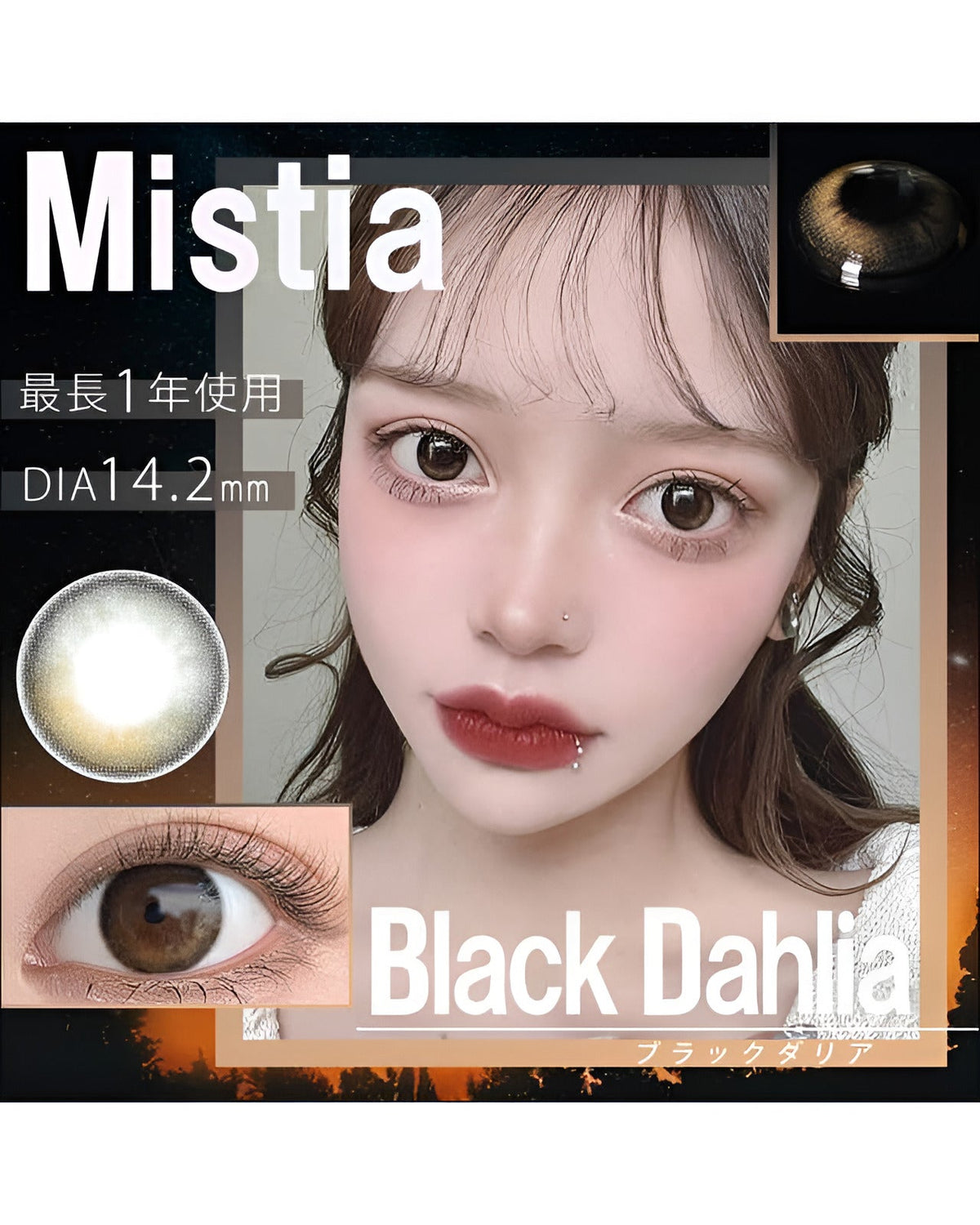 ミスティア [Mistia] DIA14.2mm 最長1年【2枚(1箱1枚ずつ)】 ブラックダリア 4枚目