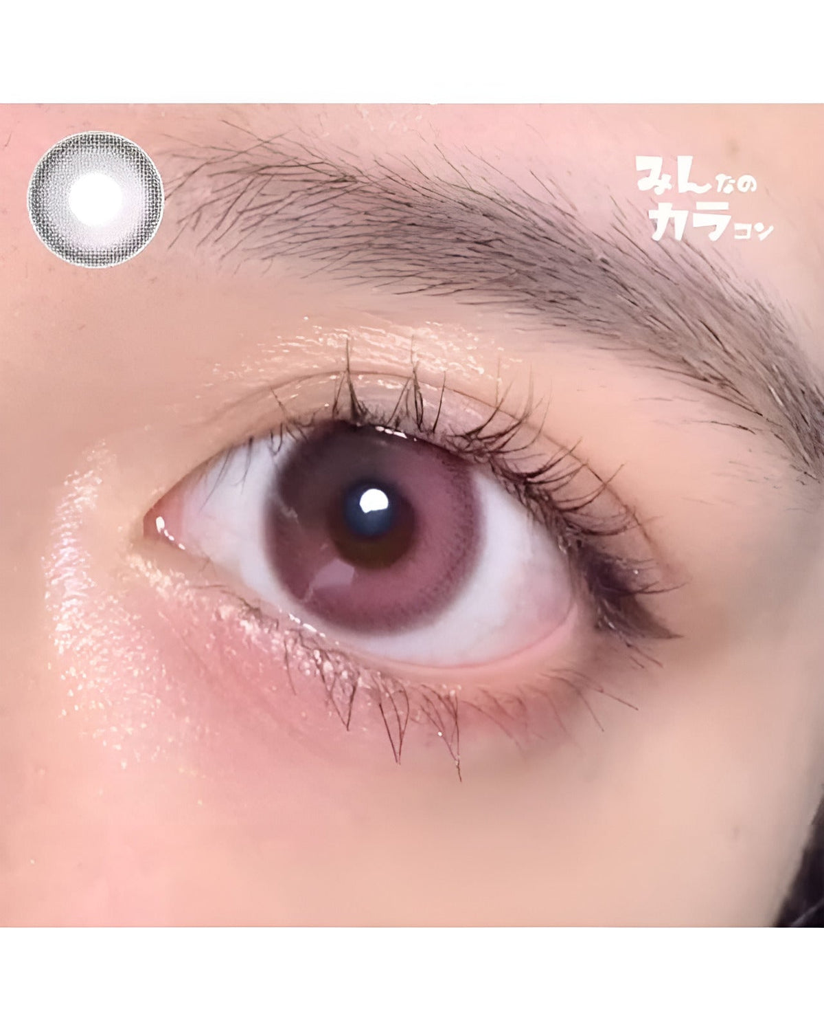 ミスティア [Mistia] DIA14.2mm 最長1年【2枚(1箱1枚ずつ)】 ベリーブラウン 3枚目
