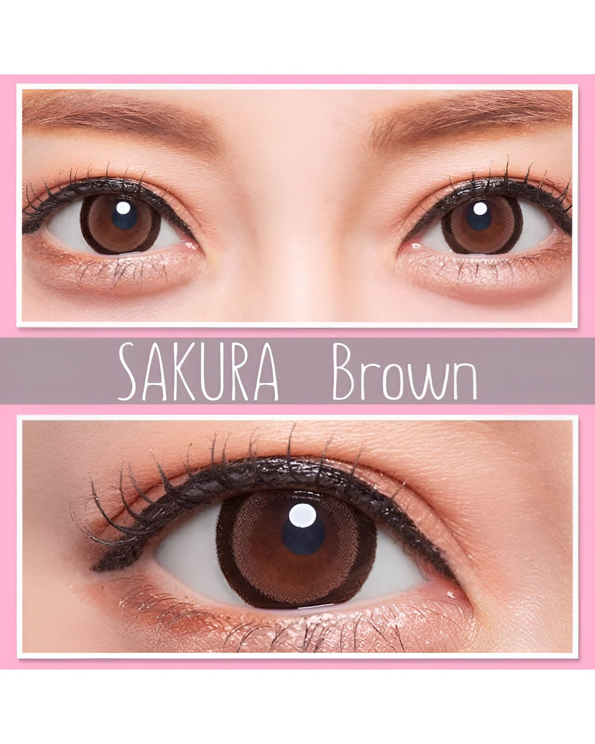 サクラ [SAKURA] DIA15.0mm 最長1年【2枚(1箱1枚ずつ)】 ブラウン 10枚目