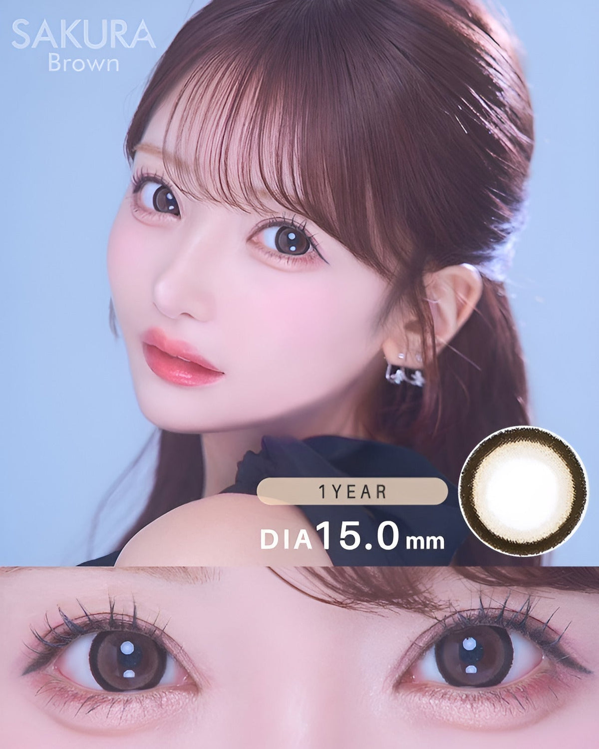 サクラ [SAKURA] DIA15.0mm 最長1年【2枚(1箱1枚ずつ)】 ブラウン 1枚目