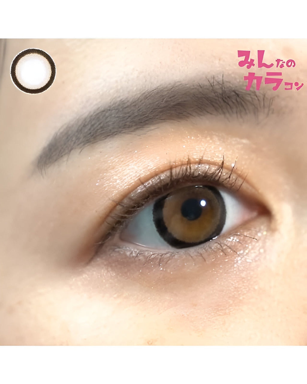 サクラ [SAKURA] DIA15.0mm 最長1年【2枚(1箱1枚ずつ)】 ブラウン 3枚目