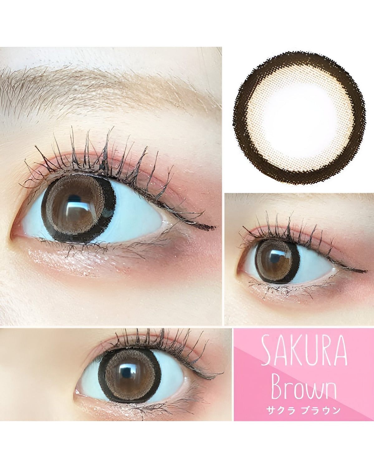 サクラ [SAKURA] DIA15.0mm 最長1年【2枚(1箱1枚ずつ)】 ブラウン 4枚目