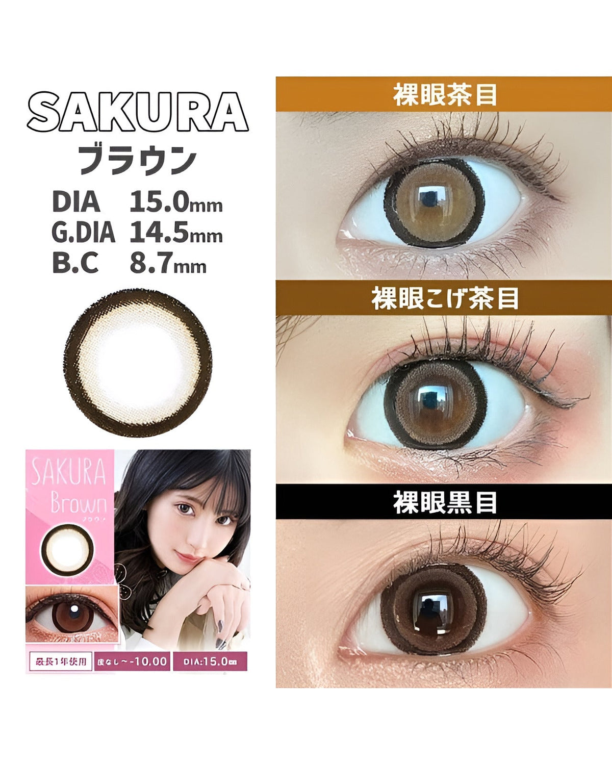 サクラ [SAKURA] DIA15.0mm 最長1年【2枚(1箱1枚ずつ)】 ブラウン 6枚目