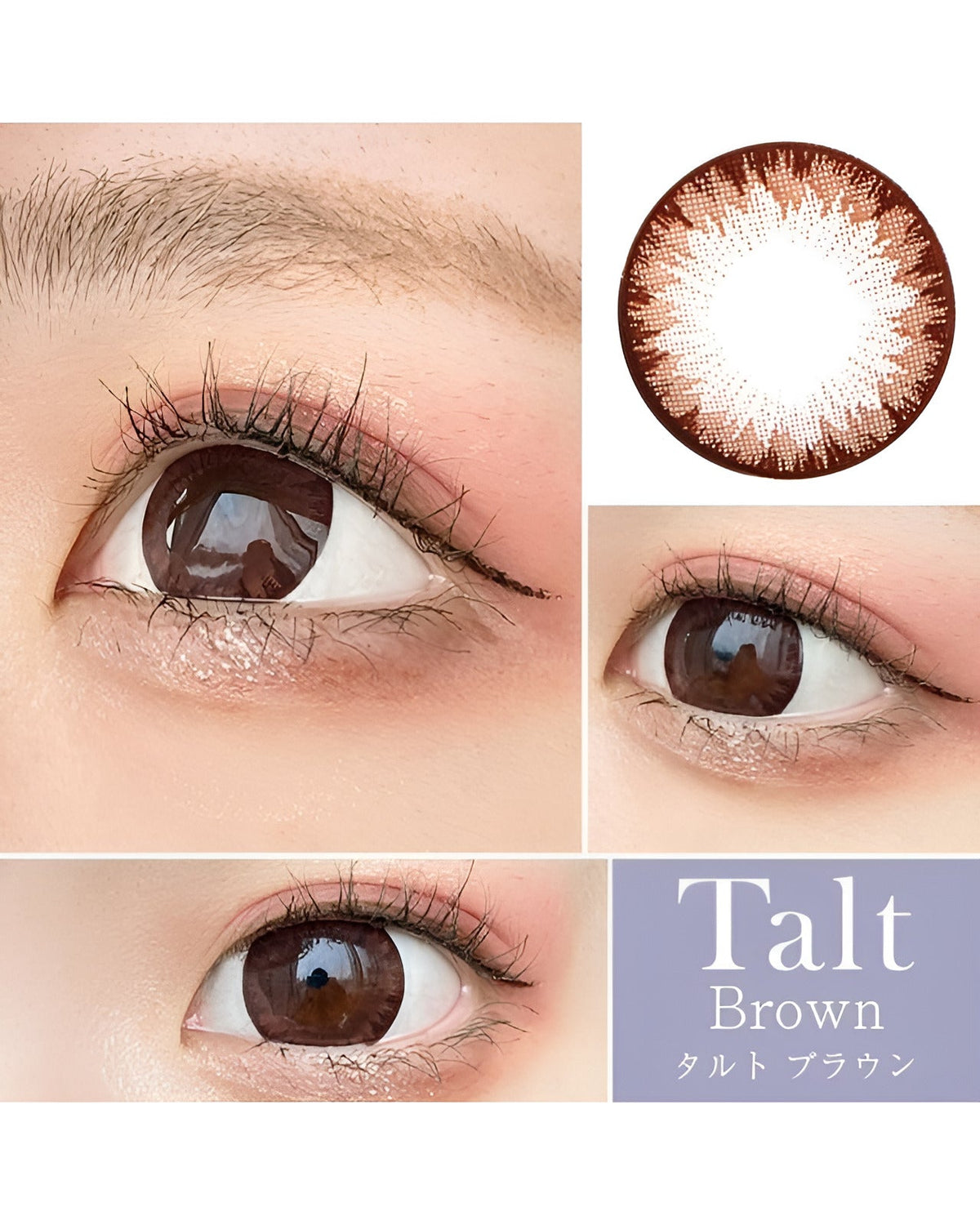 タルト [Talt] DIA15.0mm 最長1年【2枚(1箱1枚ずつ)】 ブラウン 2枚目